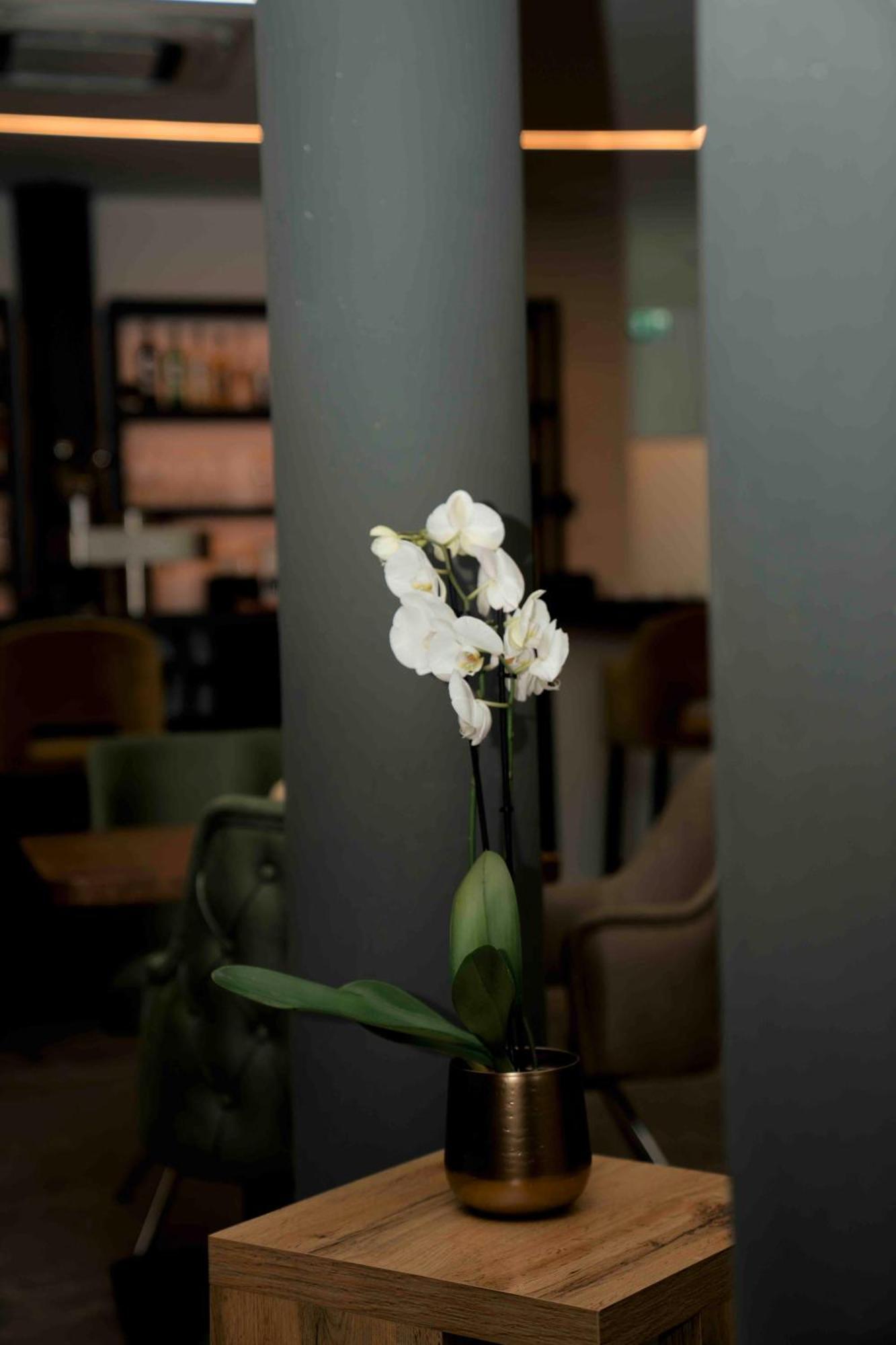 Central Hotel & Lounge Adult Only 고슬라르 외부 사진